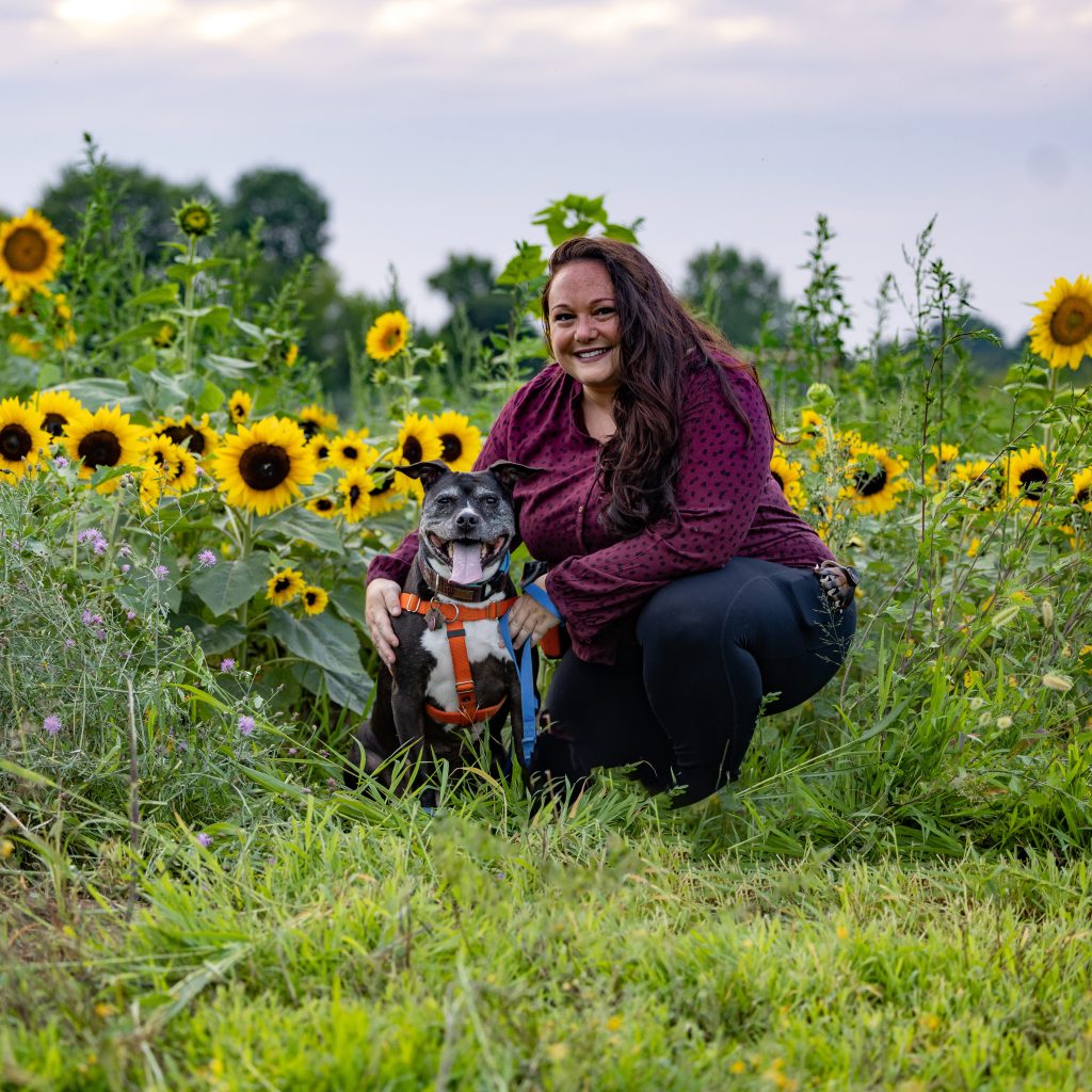 The time has come…my dog is a&nbsp;senior